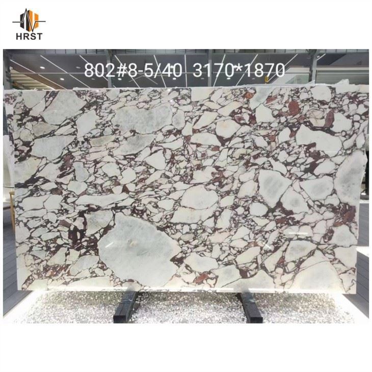  Calacatta viola Marble